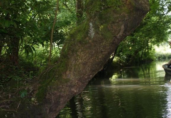 101 MARAIS POITEVIN