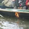 104 MARAIS POITEVIN Le feu sur l'eau