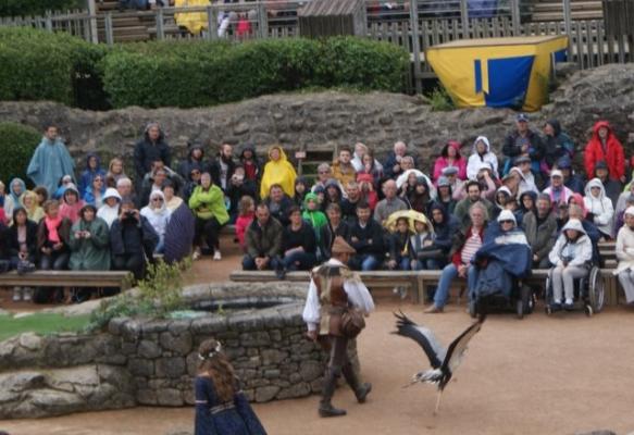 14 LES CHEVALIERS DE LA TABLE RONDE