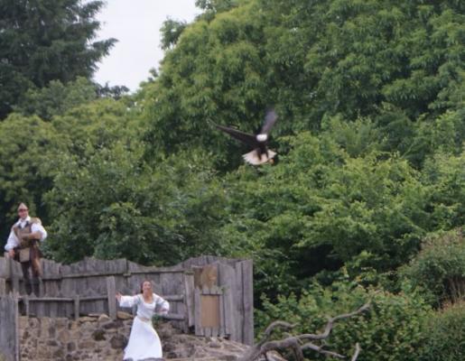 17 LE BAL DES OISEAUX FANTÔMES