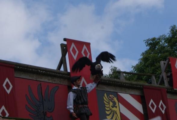 19 LE BAL DES OISEAUX FANTÔMES