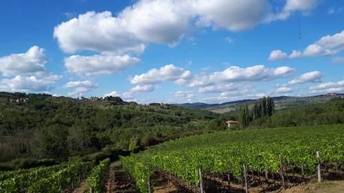 Région du Chianti