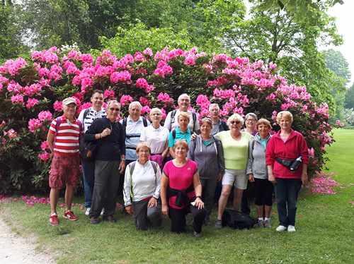 Des fleurs parmi les fleurs  !!!