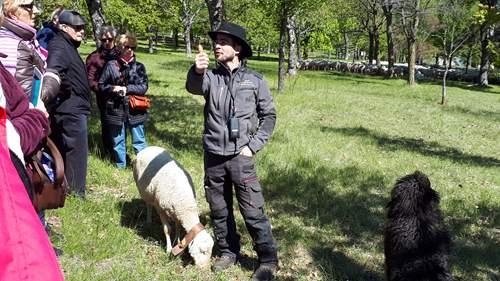 Rencontre très intéressante avec un berger