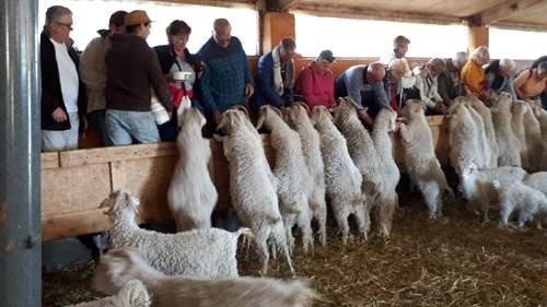 Ferme du Col à Jarjayes