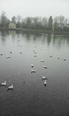 Fontainebleau