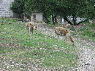 doubs20110615 040