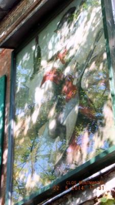 DSCF1466