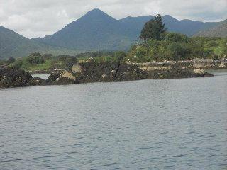 DSCN0552