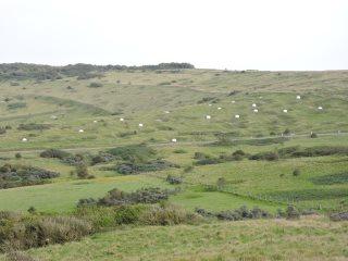 DSCN2169