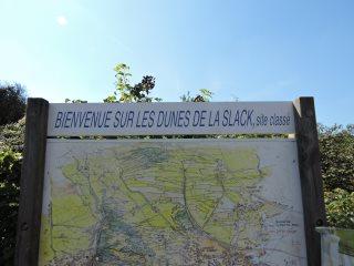 DSCN2196