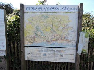 DSCN2197