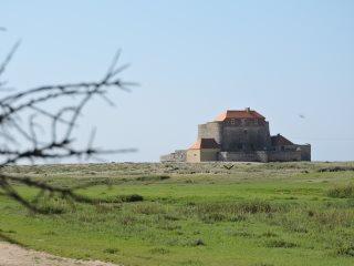 DSCN2205