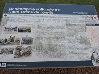 DSCN2465