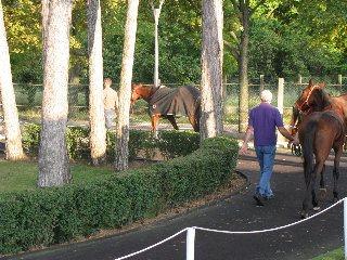 IMG_0010_001