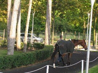 IMG_0012_001