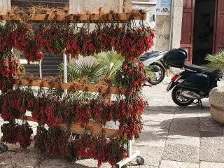 Img 036