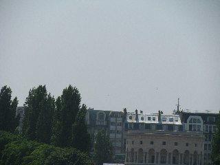 IMG_0481