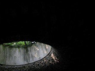 IMG_0511