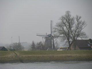 IMG_1742
