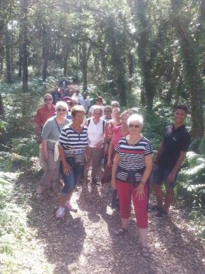 Marche forêt landaise à Vieux Boucau