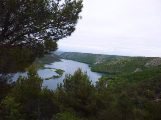 P1020600