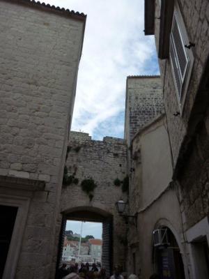 P1020687