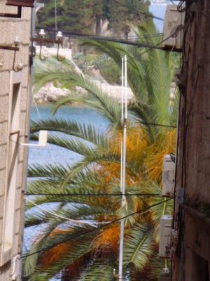 P1030061