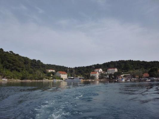 P1030203