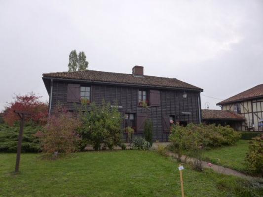 P1050006
