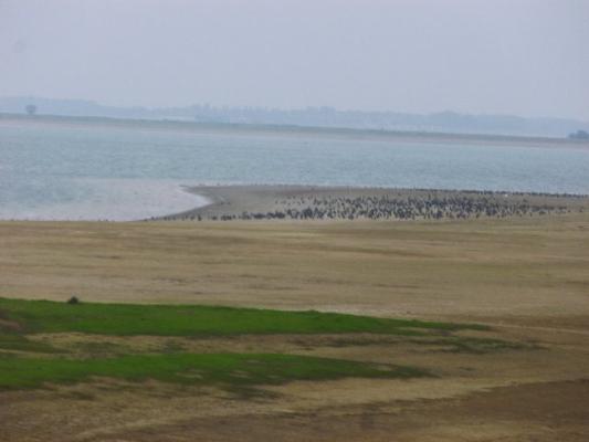 P1050075